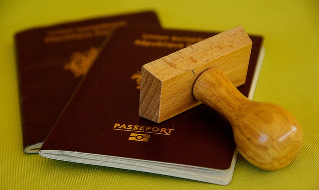 passaporto digitale materie critiche